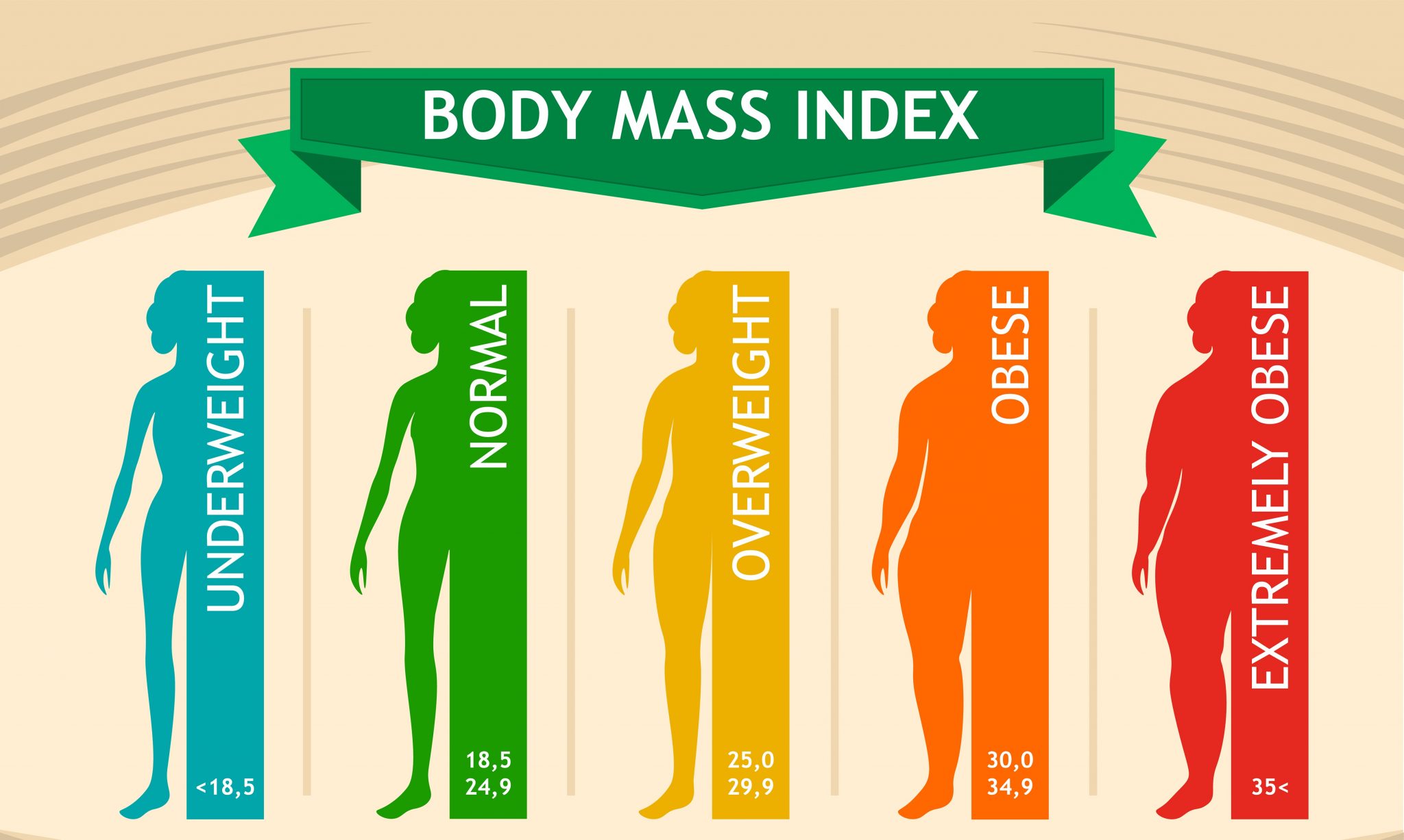 Woman Body Mass Index Info Chart Female Silhouette Medical Infographic Vector Illustration 1509
